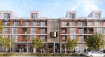 Begonia Place